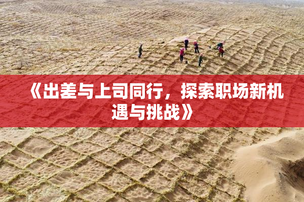 《出差与上司同行，探索职场新机遇与挑战》
