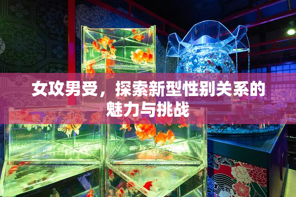 女攻男受，探索新型性别关系的魅力与挑战