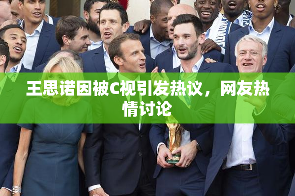 王思诺因被C视引发热议，网友热情讨论