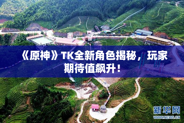 《原神》TK全新角色揭秘，玩家期待值飙升！