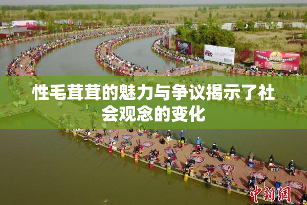 性毛茸茸的魅力与争议揭示了社会观念的变化