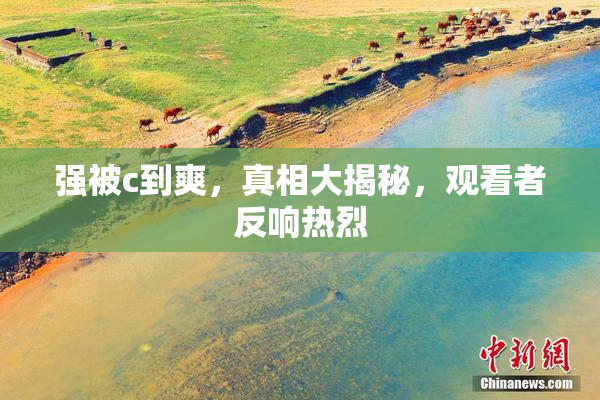 强被c到爽，真相大揭秘，观看者反响热烈
