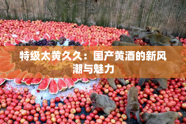 特级太黄久久：国产黄酒的新风潮与魅力