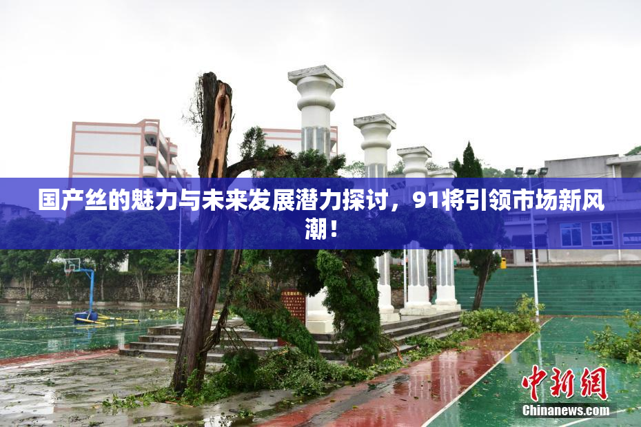 国产丝的魅力与未来发展潜力探讨，91将引领市场新风潮！