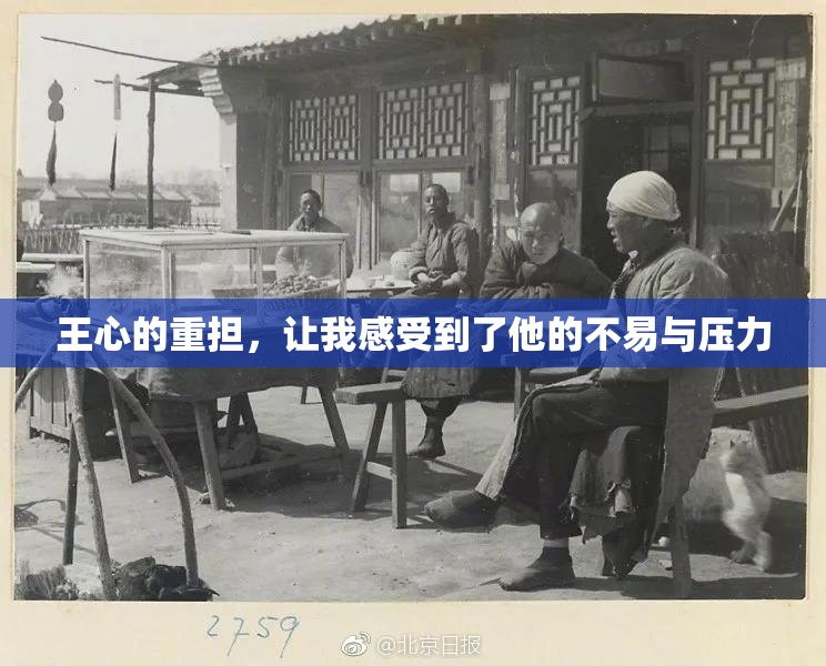 王心的重担，让我感受到了他的不易与压力