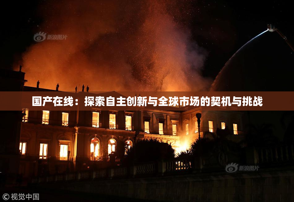国产在线：探索自主创新与全球市场的契机与挑战