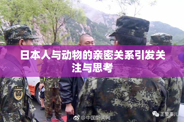 日本人与动物的亲密关系引发关注与思考
