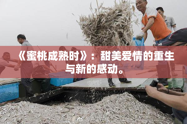 《蜜桃成熟时》：甜美爱情的重生与新的感动。