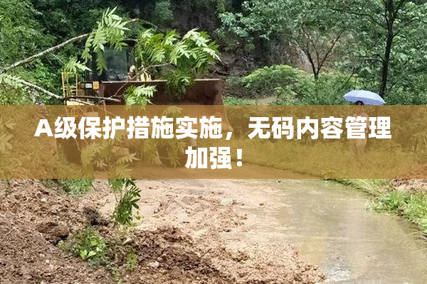 A级保护措施实施，无码内容管理加强！