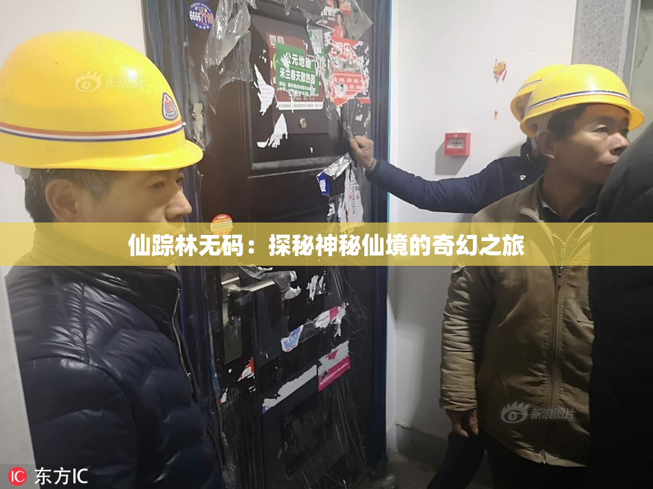 仙踪林无码：探秘神秘仙境的奇幻之旅