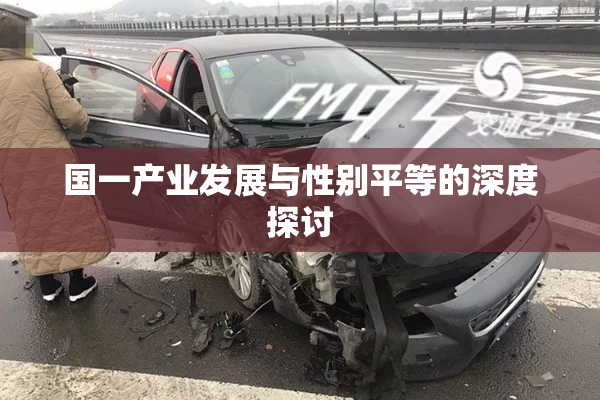 国一产业发展与性别平等的深度探讨