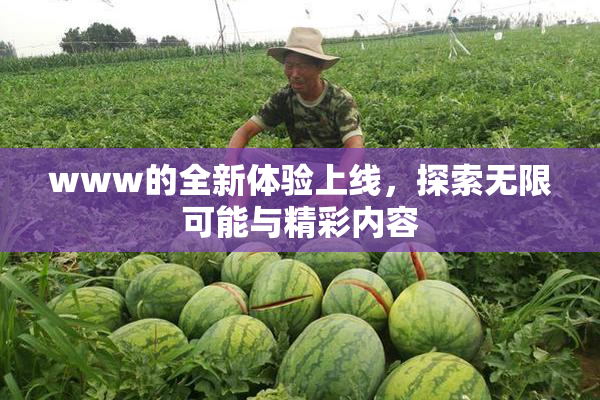 www的全新体验上线，探索无限可能与精彩内容