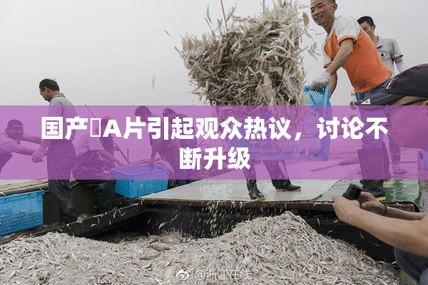 国产婬A片引起观众热议，讨论不断升级
