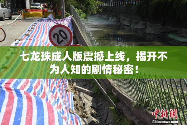 七龙珠成人版震撼上线，揭开不为人知的剧情秘密！