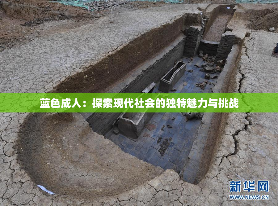 蓝色成人：探索现代社会的独特魅力与挑战