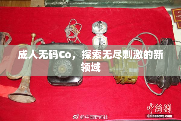 成人无码Co，探索无尽刺激的新领域