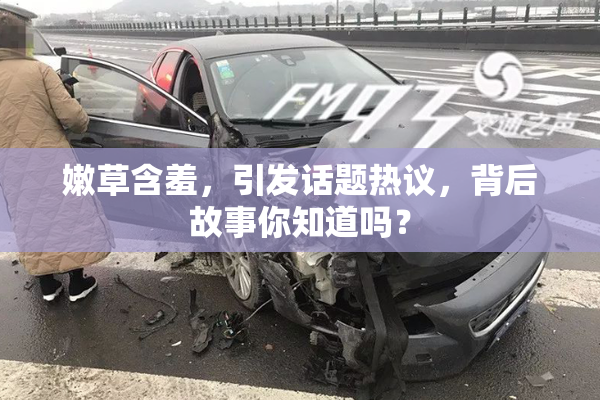 嫩草含羞，引发话题热议，背后故事你知道吗？