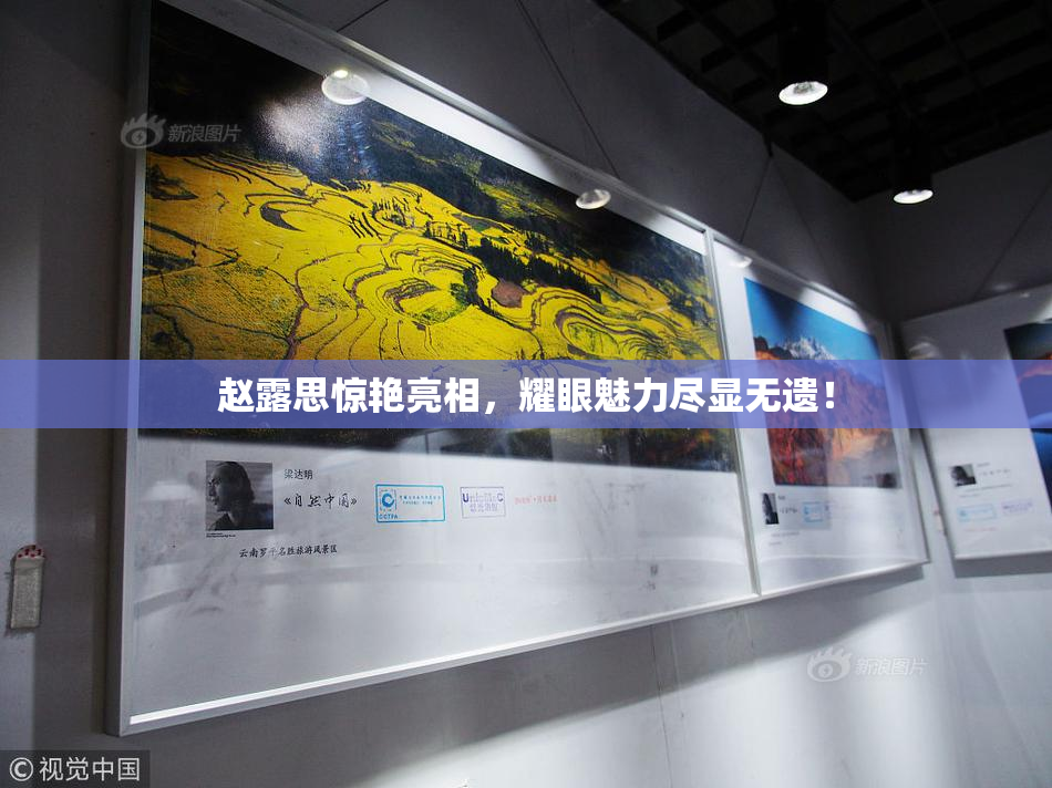 赵露思惊艳亮相，耀眼魅力尽显无遗！