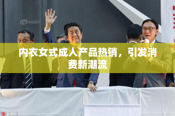 内衣女式成人产品热销，引发消费新潮流
