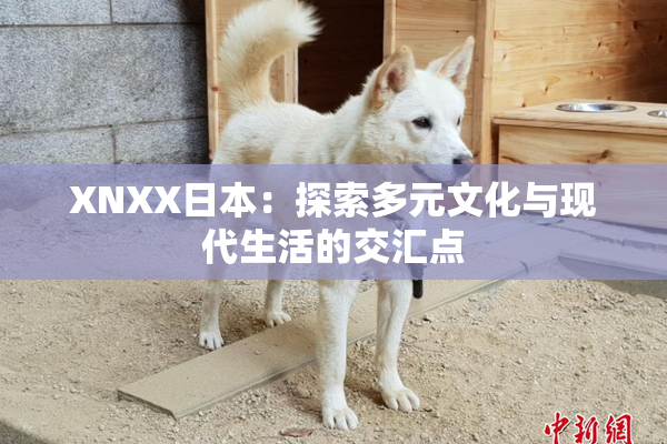XNXX日本：探索多元文化与现代生活的交汇点