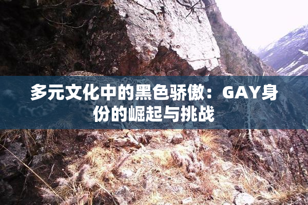 多元文化中的黑色骄傲：GAY身份的崛起与挑战