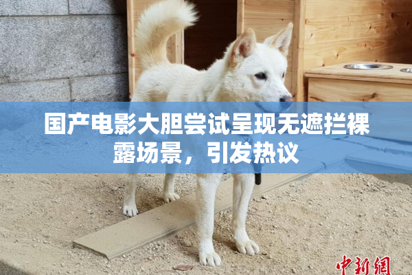 国产电影大胆尝试呈现无遮拦裸露场景，引发热议