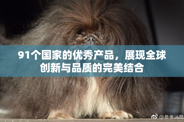 91个国家的优秀产品，展现全球创新与品质的完美结合