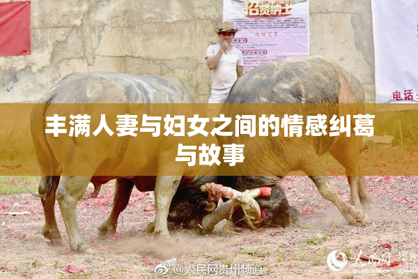 丰满人妻与妇女之间的情感纠葛与故事