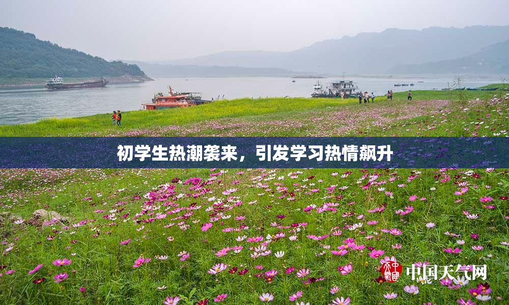初学生热潮袭来，引发学习热情飙升