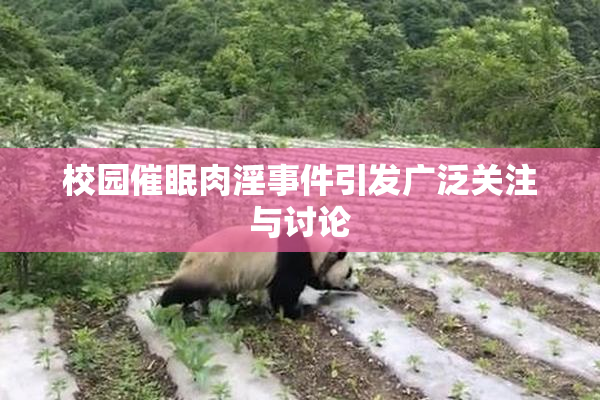 校园催眠肉淫事件引发广泛关注与讨论