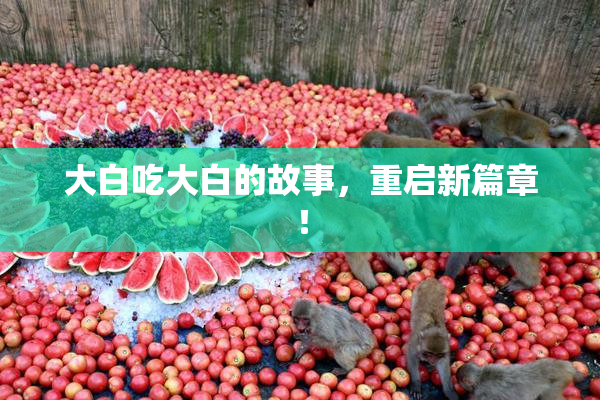 大白吃大白的故事，重启新篇章！