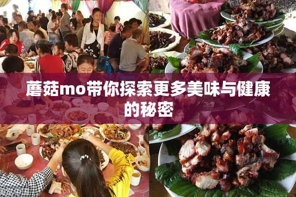 蘑菇mo带你探索更多美味与健康的秘密