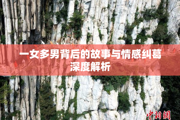 一女多男背后的故事与情感纠葛深度解析