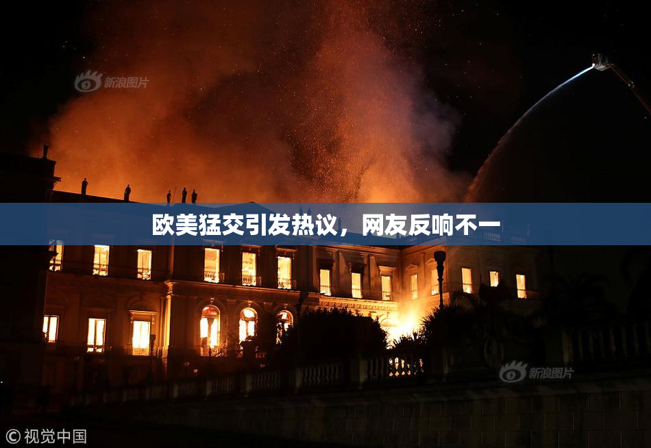 欧美猛交引发热议，网友反响不一