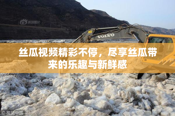 丝瓜视频精彩不停，尽享丝瓜带来的乐趣与新鲜感