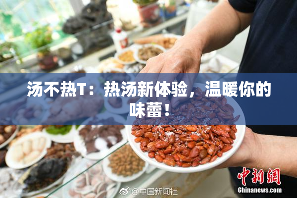 汤不热T：热汤新体验，温暖你的味蕾！