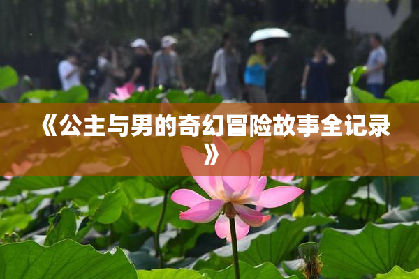 《公主与男的奇幻冒险故事全记录》