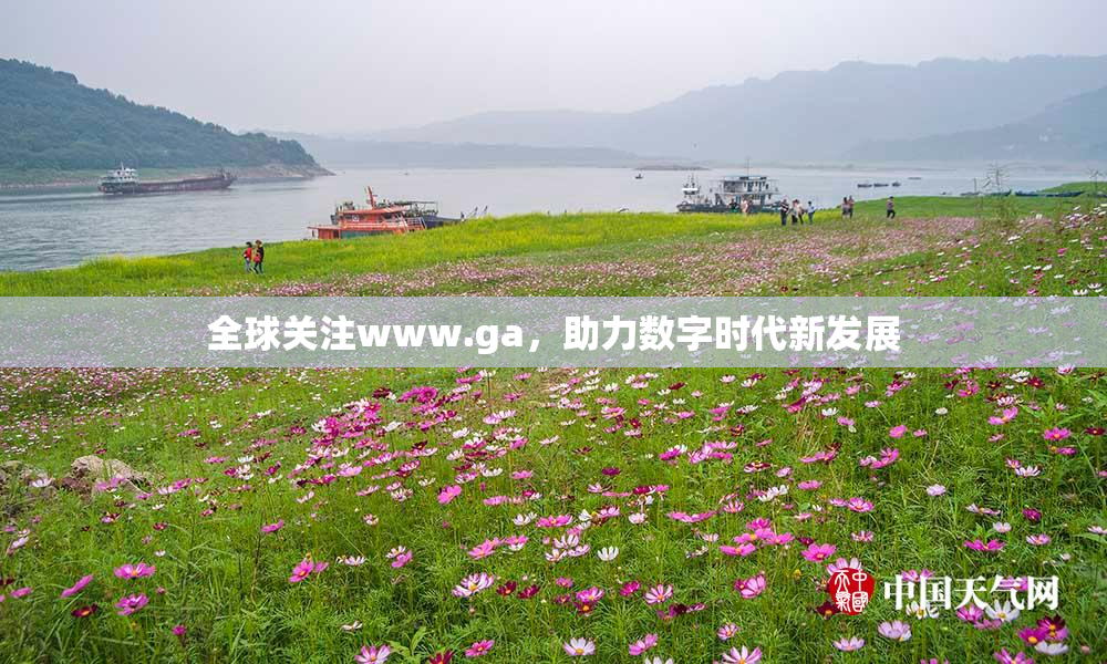 全球关注www.ga，助力数字时代新发展