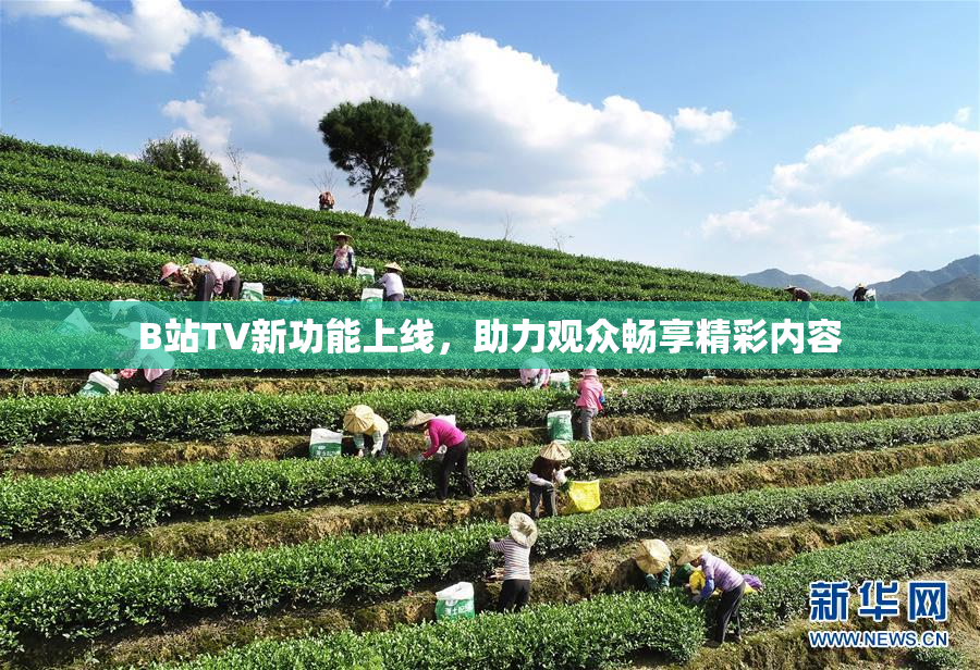 B站TV新功能上线，助力观众畅享精彩内容
