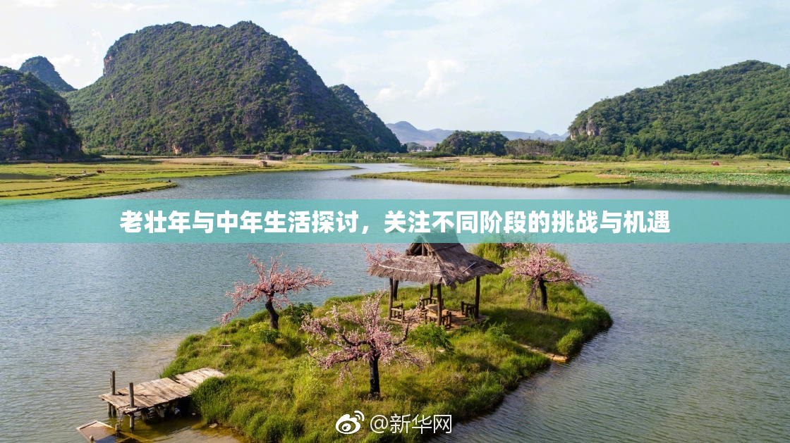 老壮年与中年生活探讨，关注不同阶段的挑战与机遇
