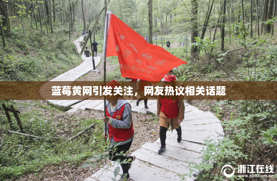 蓝莓黄网引发关注，网友热议相关话题