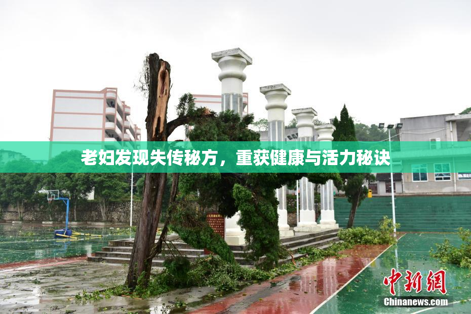 老妇发现失传秘方，重获健康与活力秘诀