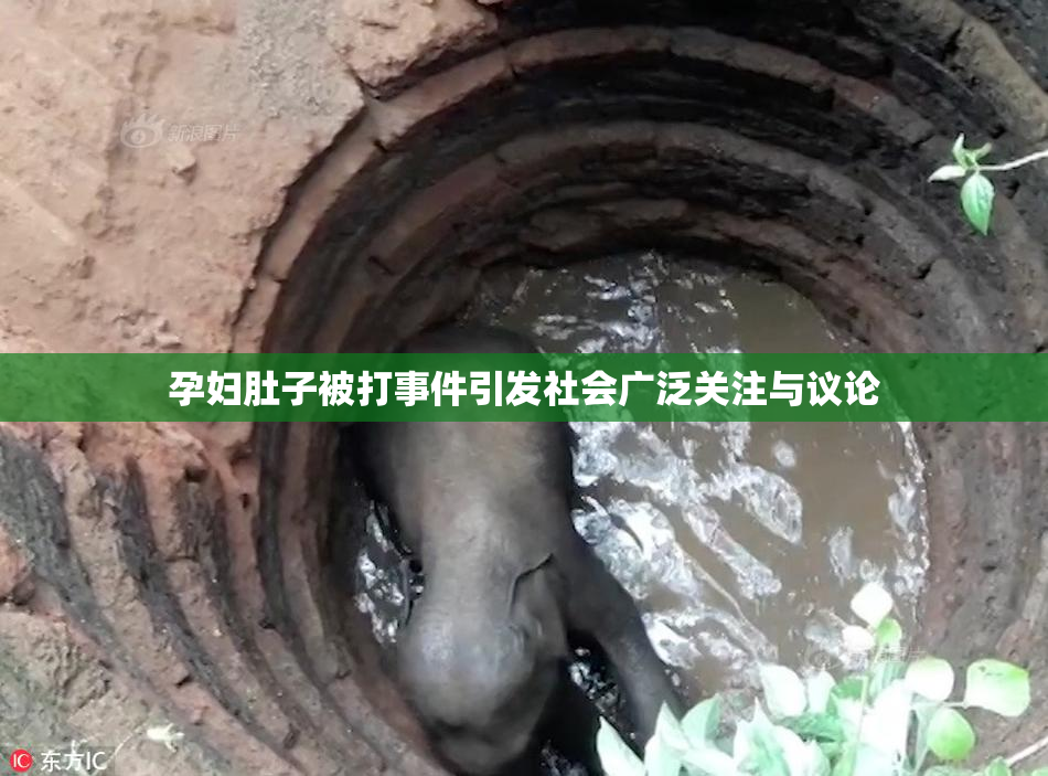 孕妇肚子被打事件引发社会广泛关注与议论