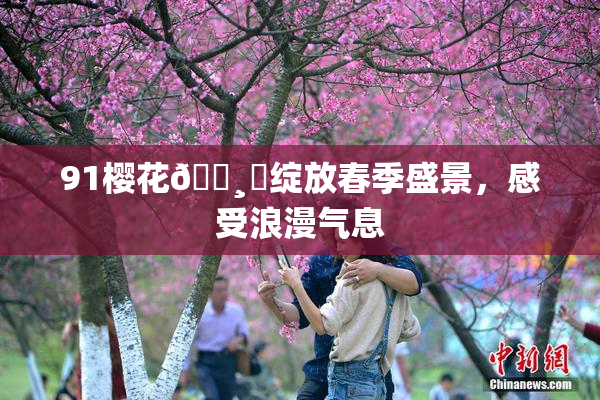 91樱花🌸‌绽放春季盛景，感受浪漫气息