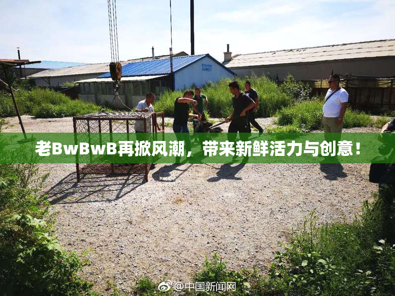 老BwBwB再掀风潮，带来新鲜活力与创意！