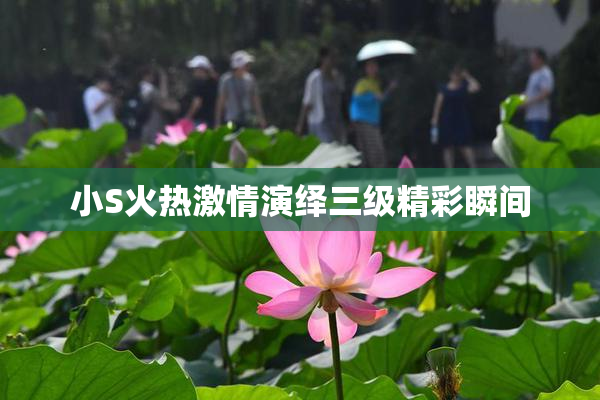 小S火热激情演绎三级精彩瞬间