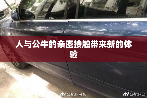 人与公牛的亲密接触带来新的体验