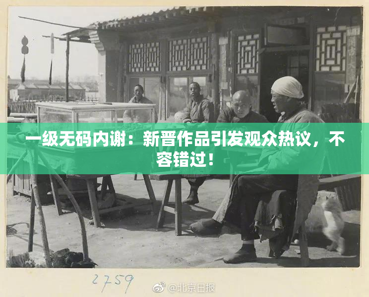 一级无码内谢：新晋作品引发观众热议，不容错过！