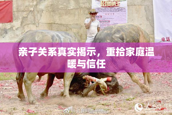 亲子关系真实揭示，重拾家庭温暖与信任