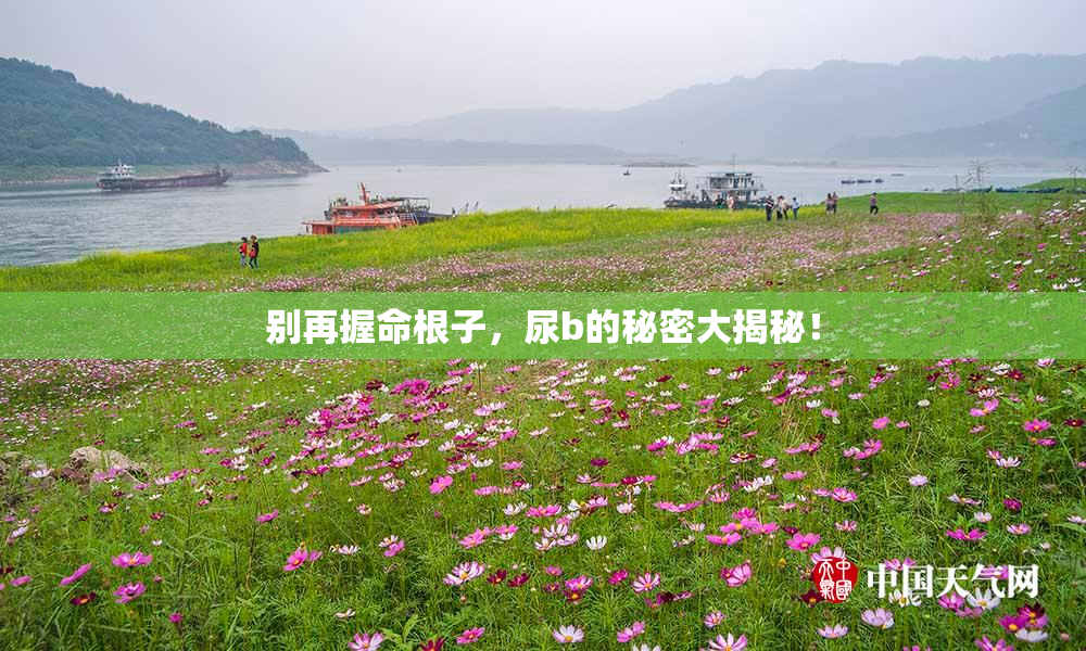 别再握命根子，尿b的秘密大揭秘！